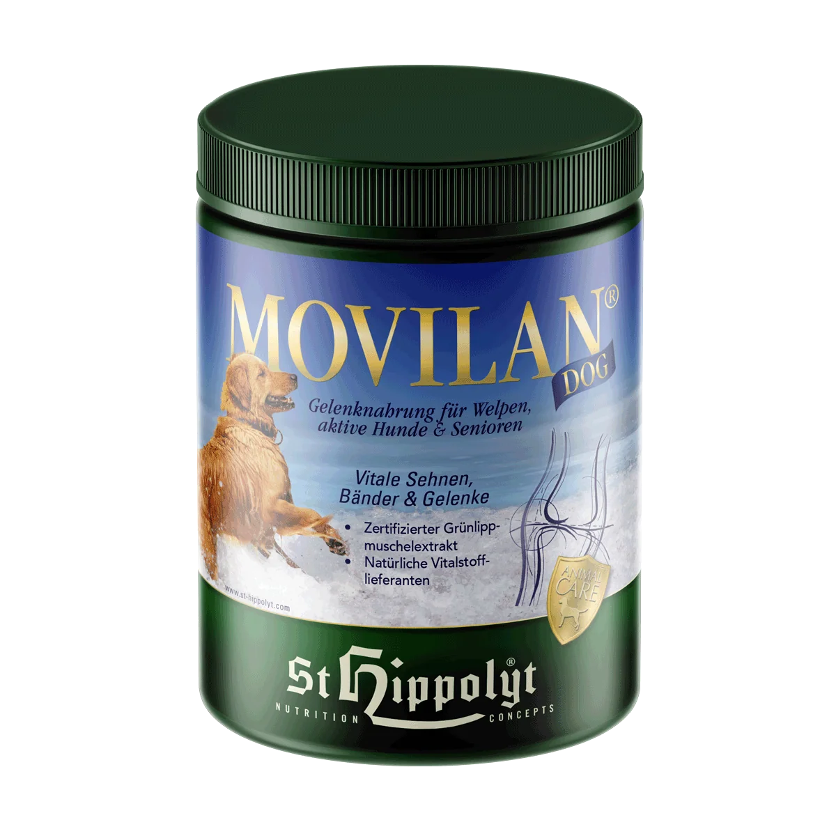 St. Hippolyt Movilan Dog