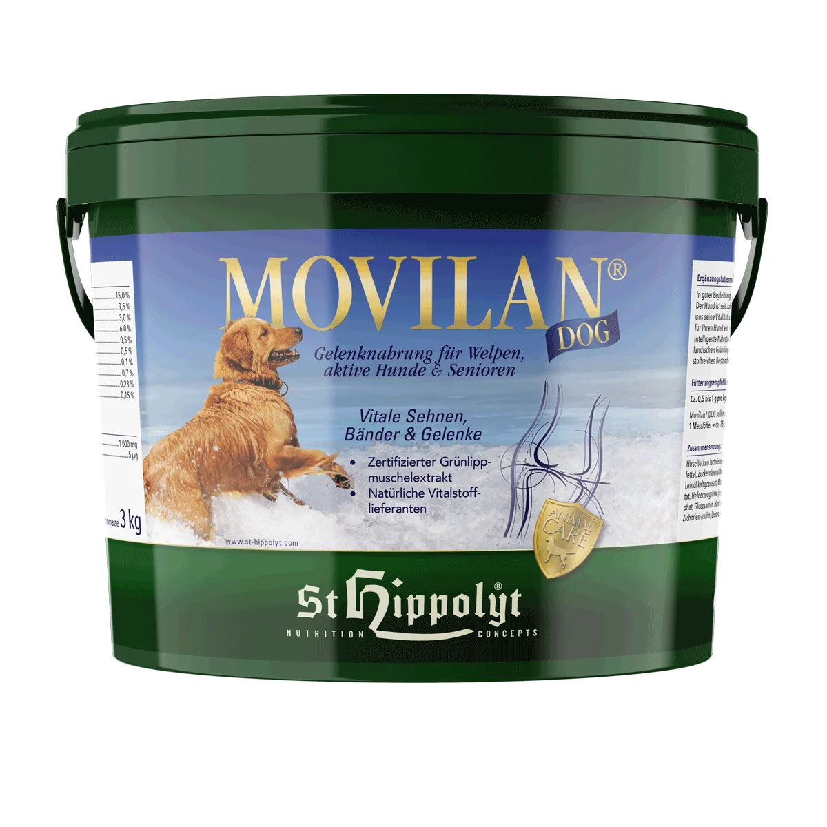 St. Hippolyt Movilan Dog – Bild 3