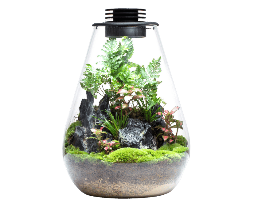 Bioloark Bio-Bottle Led SD175-SD200